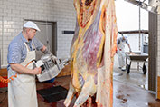 Futterfleisch ist ein Meisterbetieb 