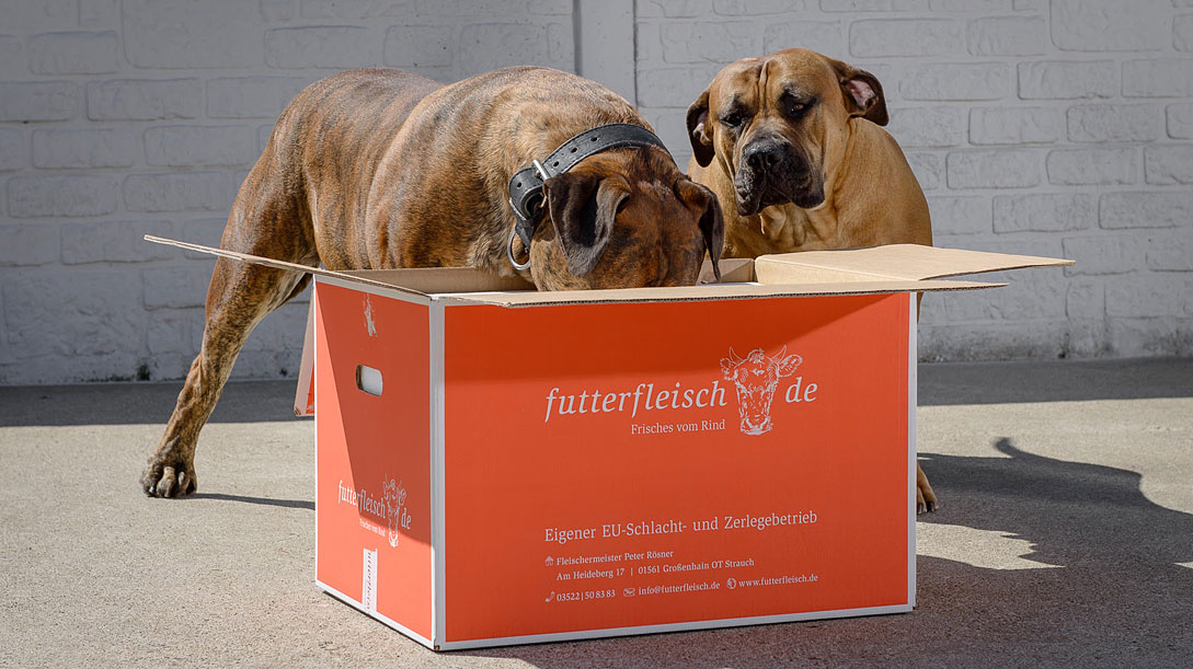 Unsere Hunde sind verrckt nach frischem Fleisch