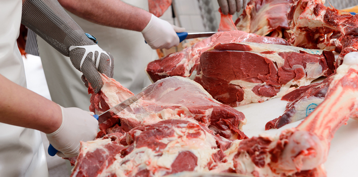 Frisches Rindfleisch fr ihre liebsten Vierbeiner