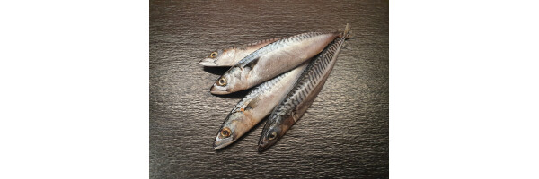 Fisch