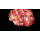 Pferdeinnereien Mix grob gewolft (500g)