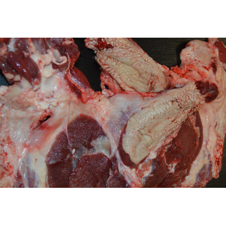 Rinderkopf und Lefzenfleisch am Stück (1000 g )