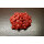 Pferdelunge gewolft (500g)