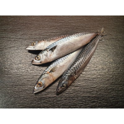 Makrele am Stück 400 - 500g