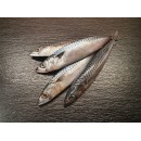 Makrele am St�ck 450 - 550g